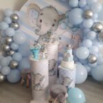 Ring Backdrop Setup 1